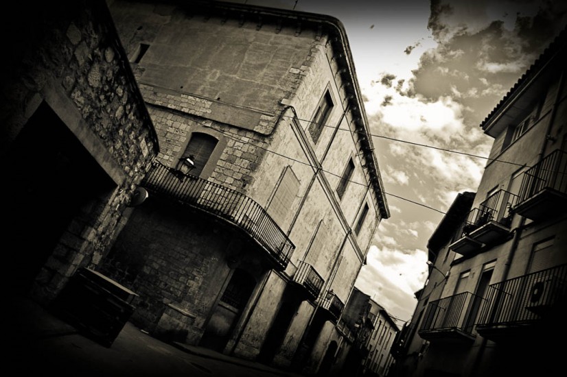 5DSC_2895